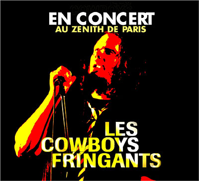 En concert au Zénith de Paris