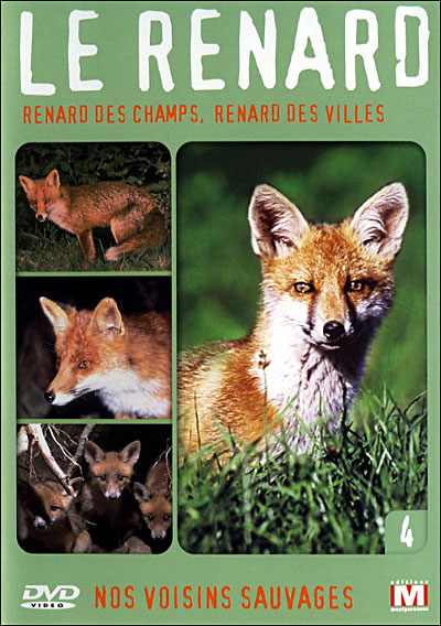 Volume 4 - Renard des champs & des villes