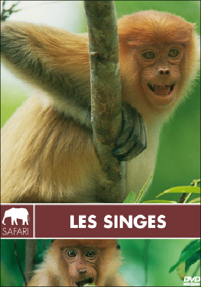 Les Singes - Collection safari