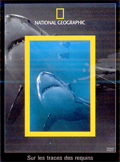 Cicatrice De Requin Sous Marin Requin Pointe Blanche Faits