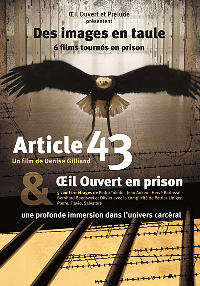 Article 43