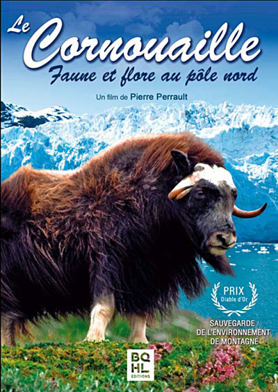 Cornouailles - Faune et flore au Pôle Nord