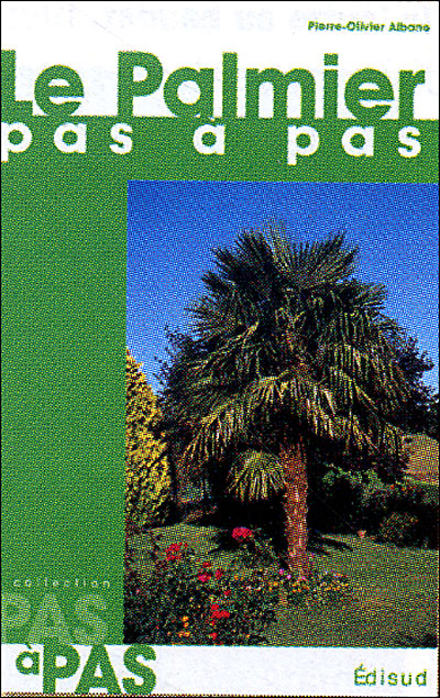 Le palmier pas à pas