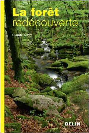 La forêt redécouverte