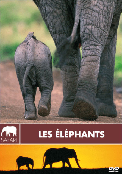 Eléphants - Collection safari