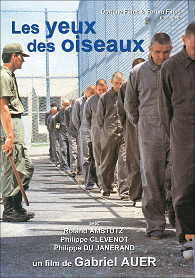 Les Yeux des oiseaux