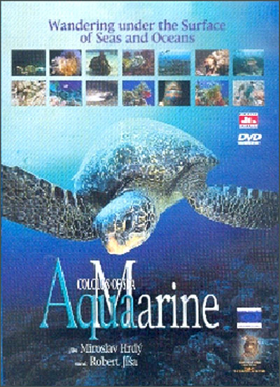 Aquamarine