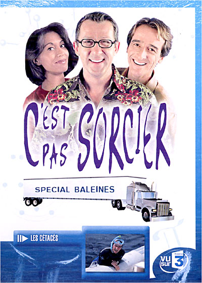 Spécial Baleines