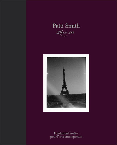 Patti smith - land 250 - broché - Patti Smith, Livre tous les