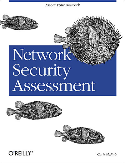 Network security assessment