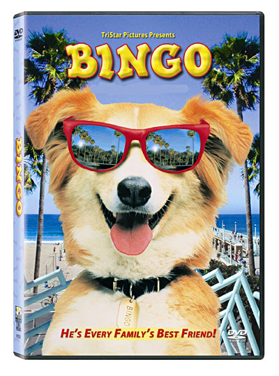 Bingo