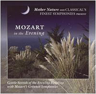 Mozart in the evening/various