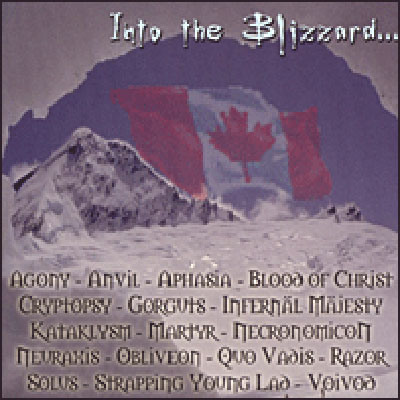 Into the blizzard canadian assault
