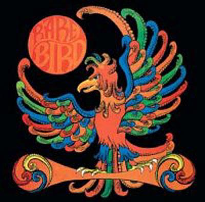 Rare bird