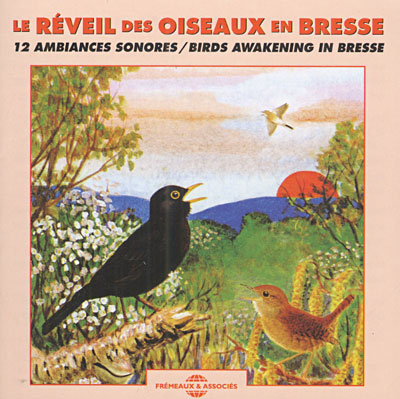 Reveil oiseaux bresse/12