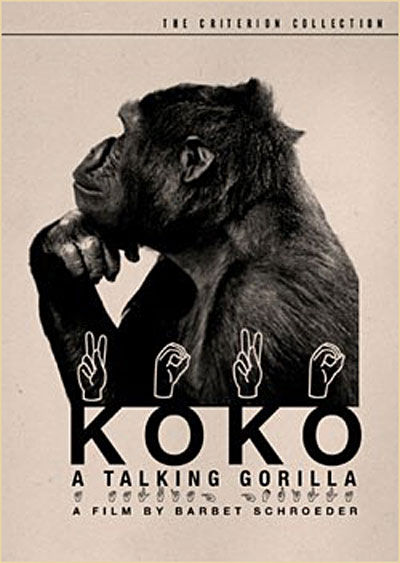 Koko a Talking Gorilla - Edition Criterion - DVD Zone 1