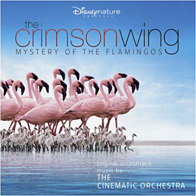 Crimson wing mystery