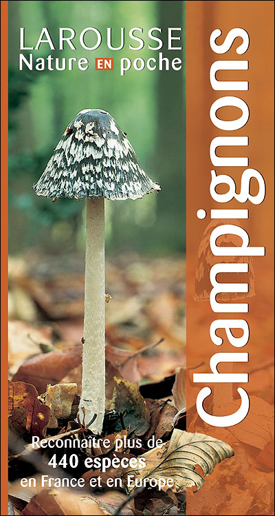 Champignons - Nouvelle présentation