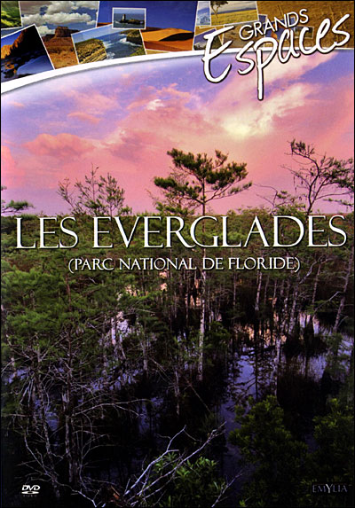 Les Everglades de Floride