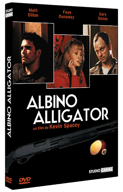 Albino Alligator