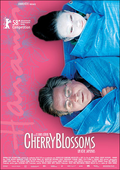 Cherry Blossoms