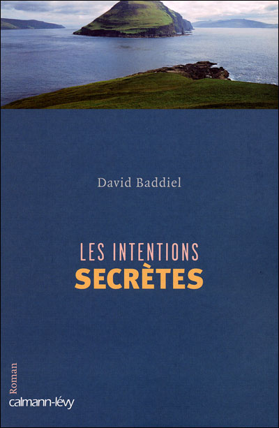 Les intentions secretes - David Baddiel - broché