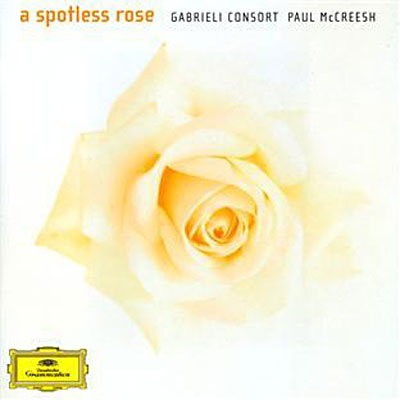 A spotless rose