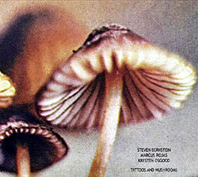 Tattoos and mushrooms