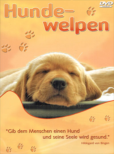 Hunde Welpen