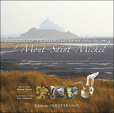 Escapades buissonnières en baie du Mt St-Michel
