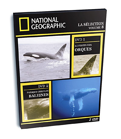 Panique chez les baleines - Le Festin des orques - Edition Digipack