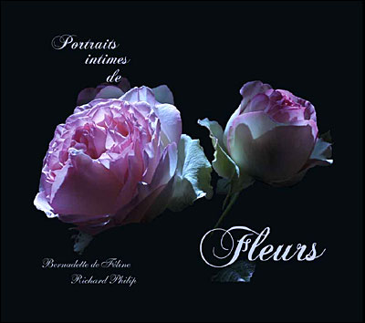 Portraits intimes de fleurs