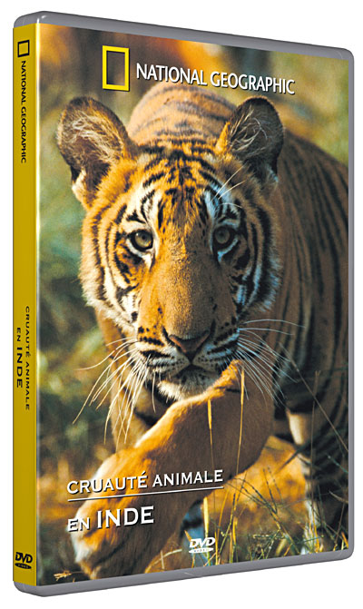 La Cruauté animale en Inde