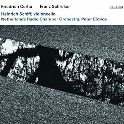 Concerto pour violoncelle - Chamber Symphony in one