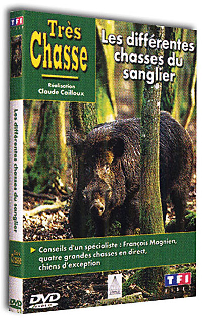 Les Différentes chasses du sanglier