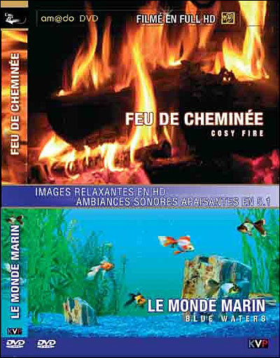 Le Feu de cheminée - Serge Sarve - DVD Zone 2 - Achat & prix