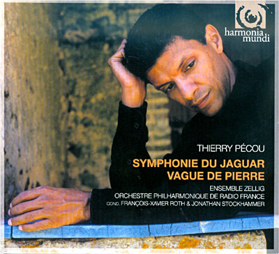 Symphonie du jaguar - Vague de pierre