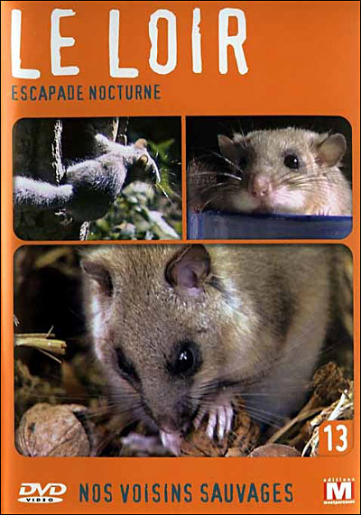 Volume 13 - Loir, scapade nocturne