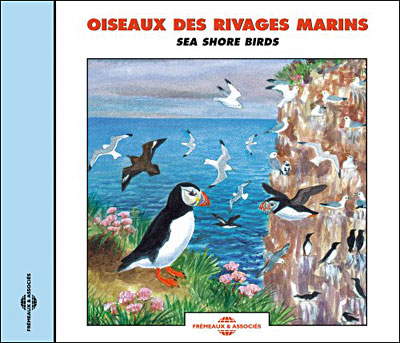 Oiseaux des rivages marins