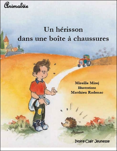 Un hérisson dans une boîte à chaussures