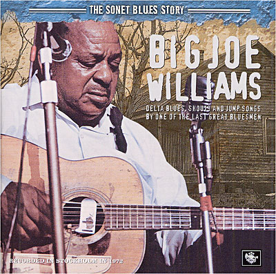 Big Joe Williams