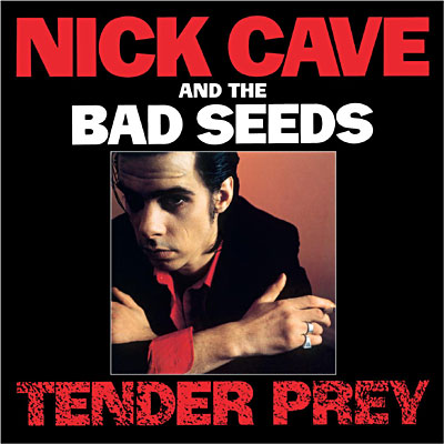 Tender prey - Inclus DVD bonus