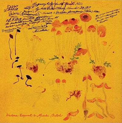 Helena Espvall - Masaki Batoh