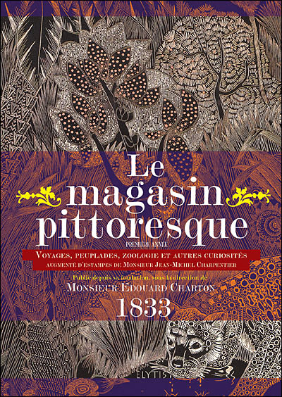 Le magasin pittoresque