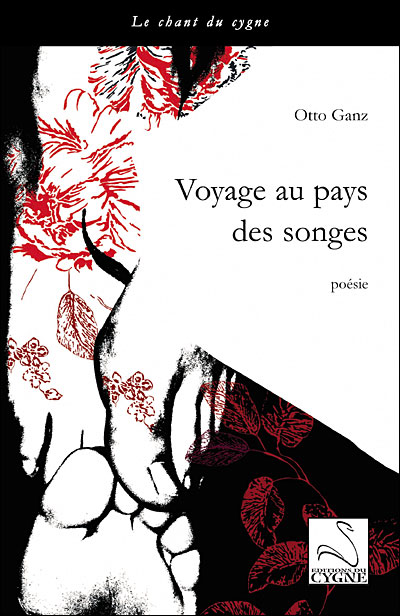 Voyage Au Pays Des Songes Broché Otto Ganz Achat Livre Fnac 7304