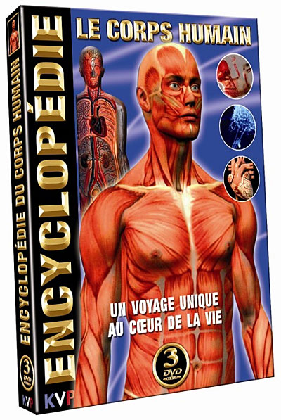 Encyclopédie : Le corps humain