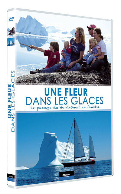 Une fleur dans les glaces