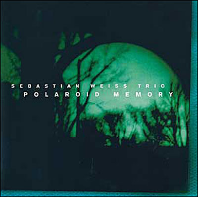 Polaroid Memory