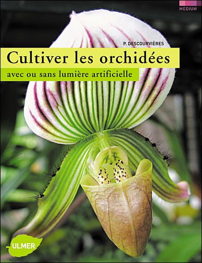 Cultiver les orchidées en appartement