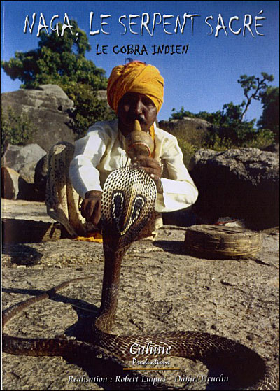 Naga, le serpent sacré - Le Cobra indien